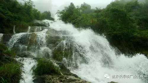 游荡姑婆山，欣赏激流跌宕的瀑布群！