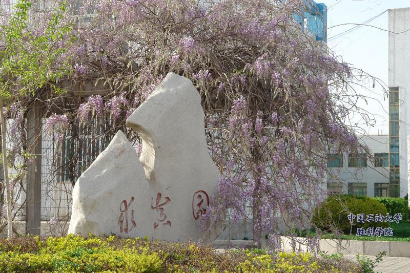 胜利学院在哪（这样的办学条件也太好了吧！）