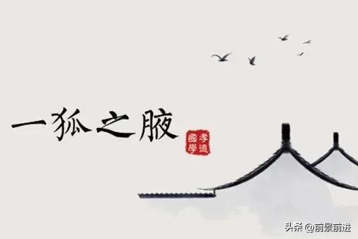 集腋成裘的意思是什么（今日成语典故: 一狐之腋）